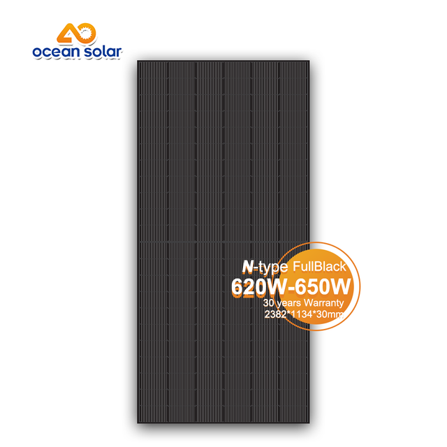 G12R మోనో 620W-650W-పూర్తి బ్లాక్ గ్లాస్ 